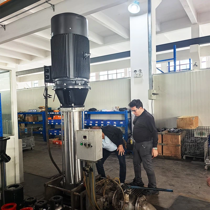 vertical pump test vertical pump test